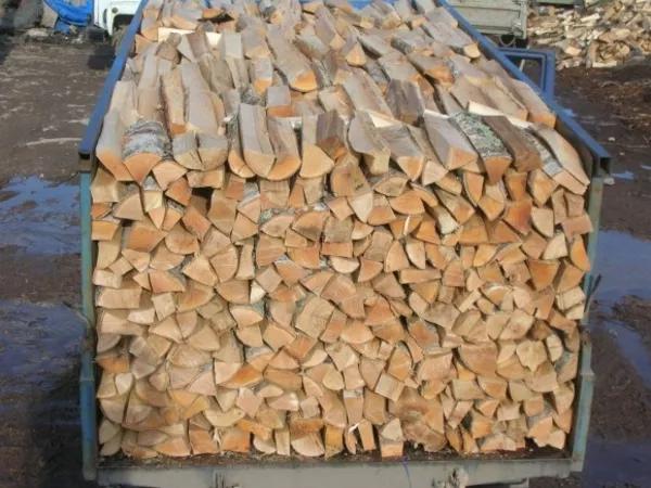 Продаем дрова з доставкой в любую точку Украины))) 3